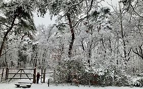 Sluwe Vos: ontspannen in het bos!